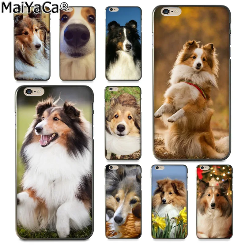 Чехол для телефона MaiYaCa с забавными животными Sheltie dog Для iphone SE 2020 11 pro 8 7 66S Plus X 5S XS XR