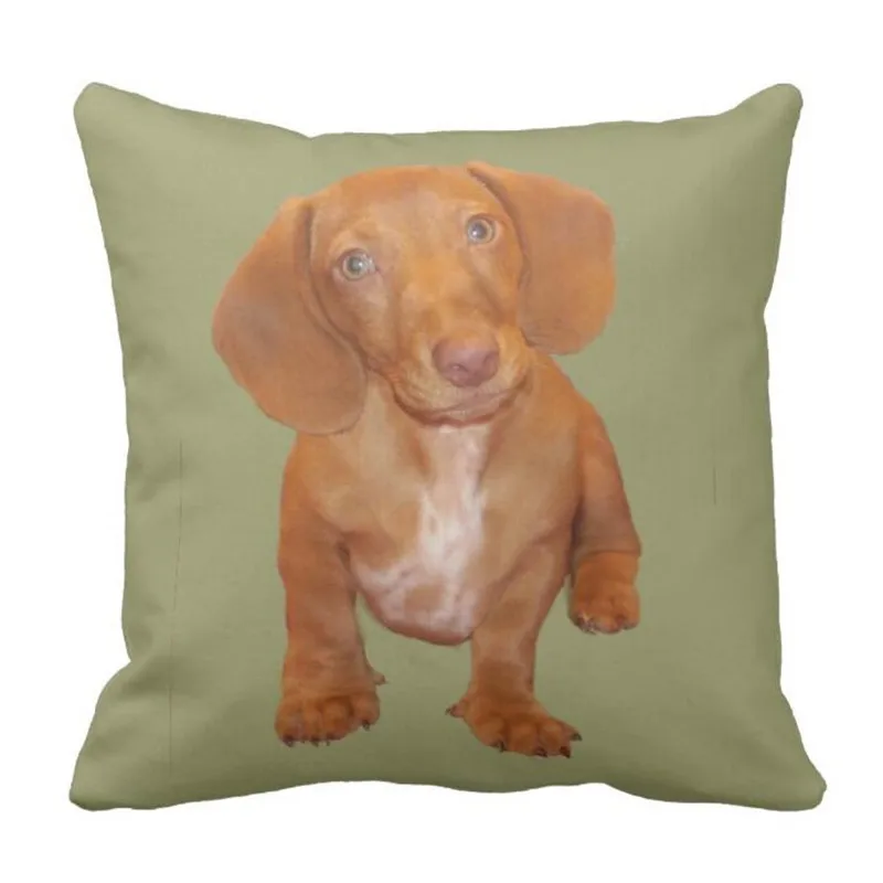 Набор подушек Dachshund | Дом и сад