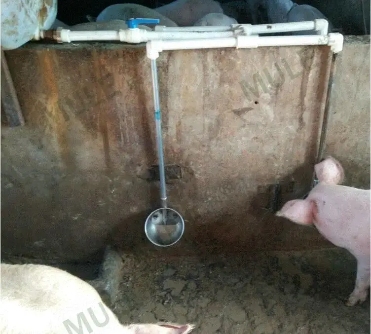 Чаша для питьевой воды из нержавеющей стали, сопло для воды из свиньи, автоматическая подача воды, оборудование для разведения