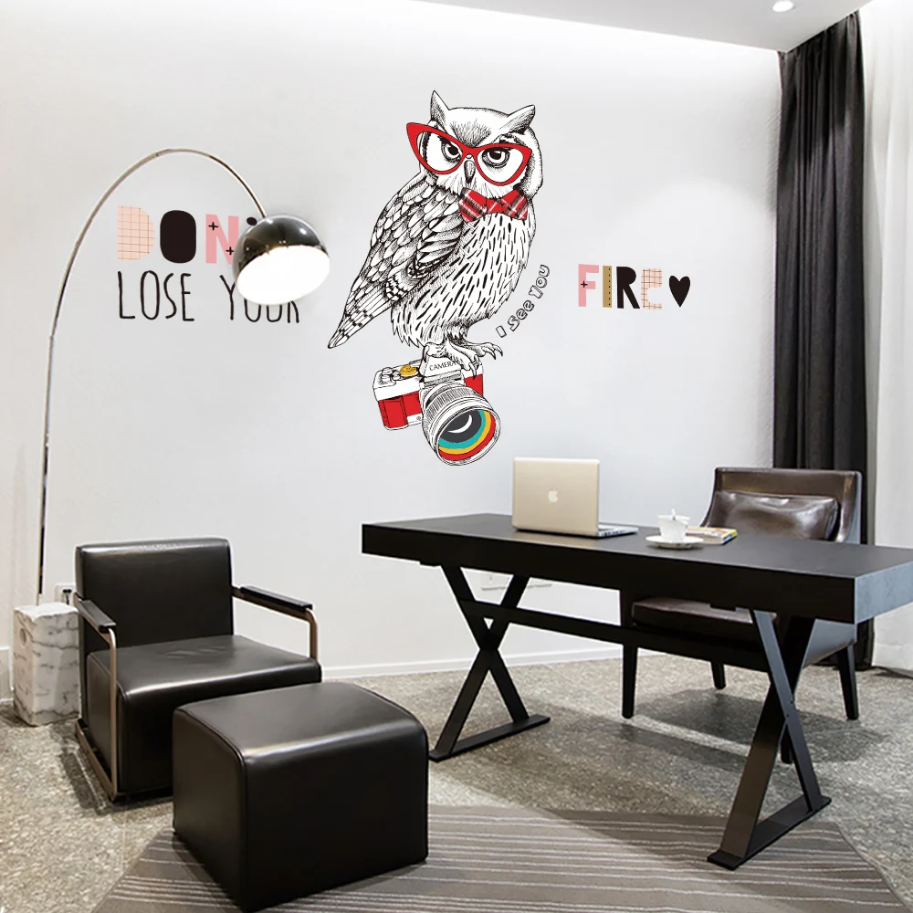 Dicor фотографии Сова Творческий Art Home Decor Wall Стикеры ПВХ самоклеющаяся