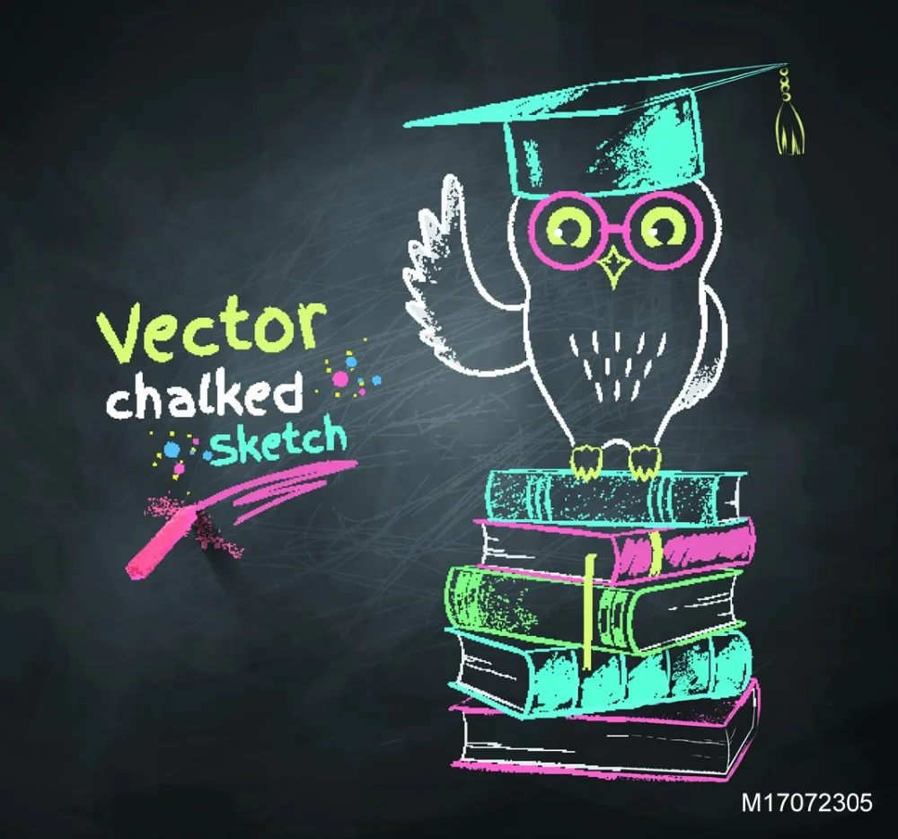 Виниловый фон для студийной фотосъемки с изображением совы в школьной доске LIFE