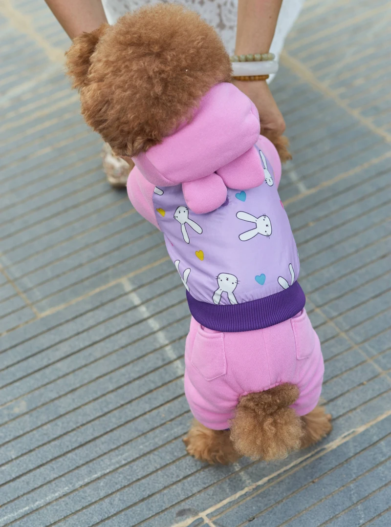 DOGGYSTYLE зимняя одежда для собак, теплое пальто для щенков, стеганая куртка с капюшоном, Комбинезоны для маленьких собак, чихуахуа, костюмы Тедди