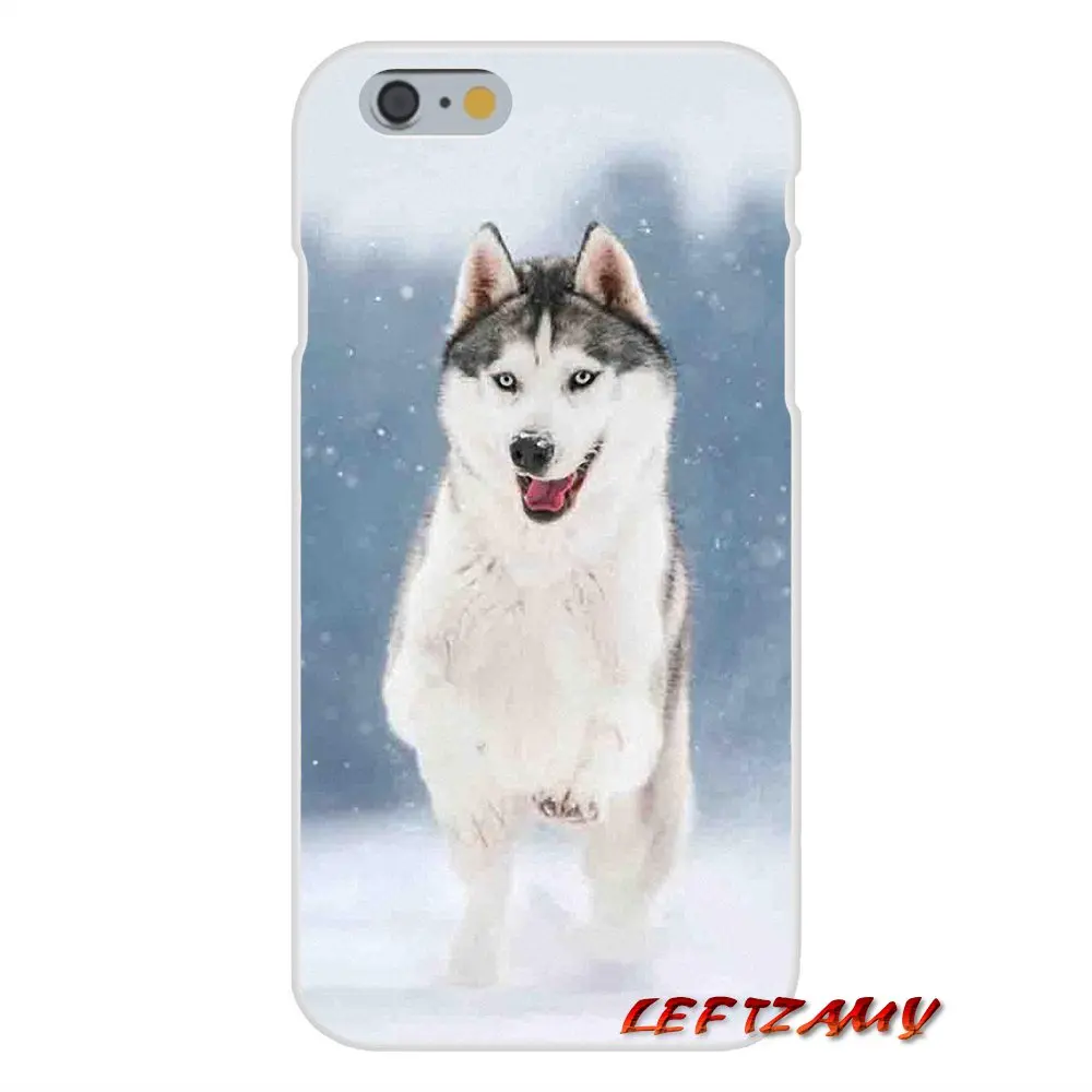 Для iPhone X XR XS MAX 4 4S 5 5S 5C SE 6 6S 7 8 Plus ipod touch Alaskan Malamute Siberian husky аксессуары Чехлы |