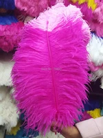 big feathers 20pcslot 60 65cm pinkrose ostrich featherstwo tone ostrich trendy featherslarge feathers