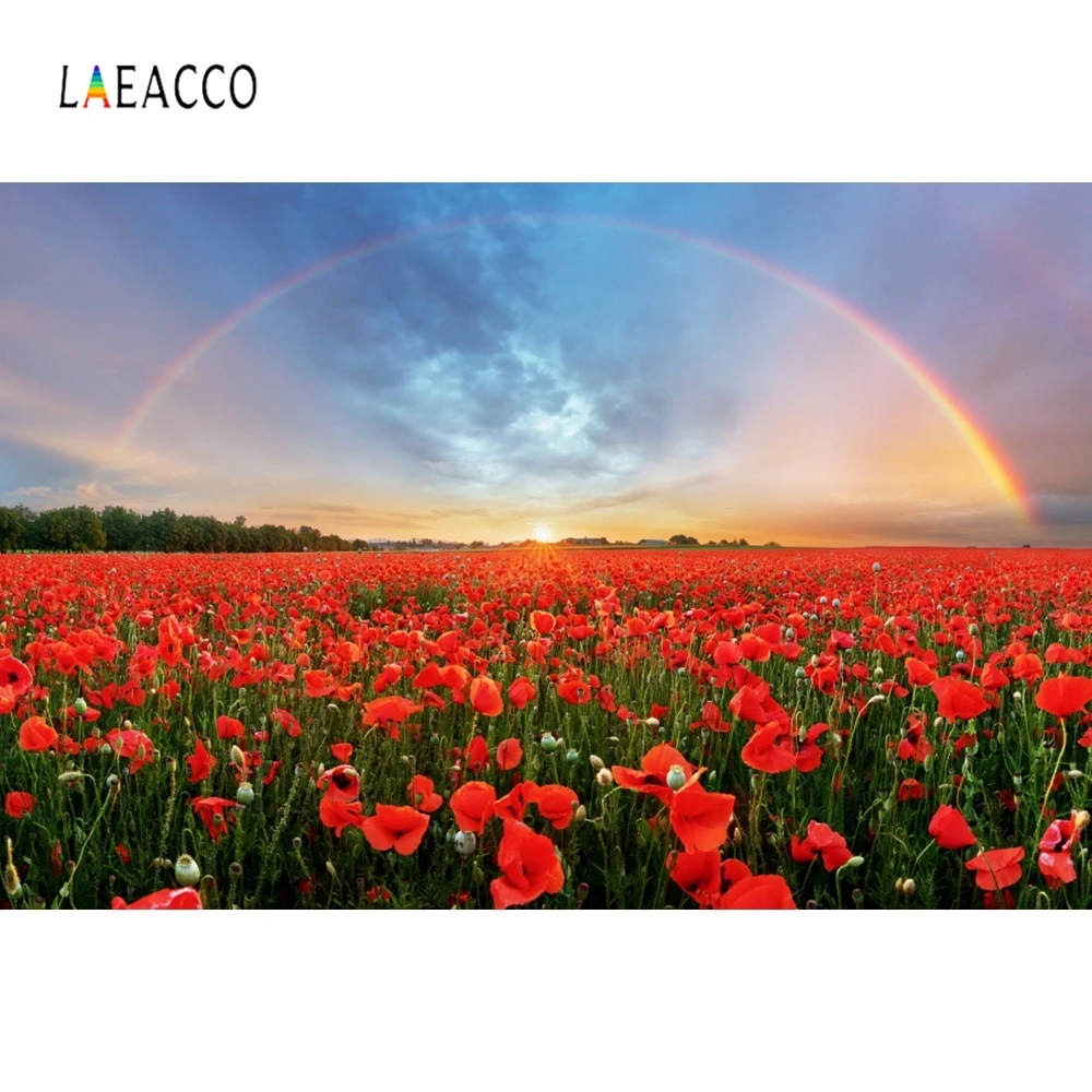 Laeacco природа живописный цветок море Радуга фон для детской портретной фотографии