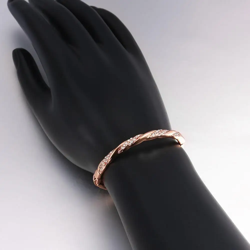 Круг Кубический циркон Кристалл Твист Роза Браслеты для Для женщин jy0107 |