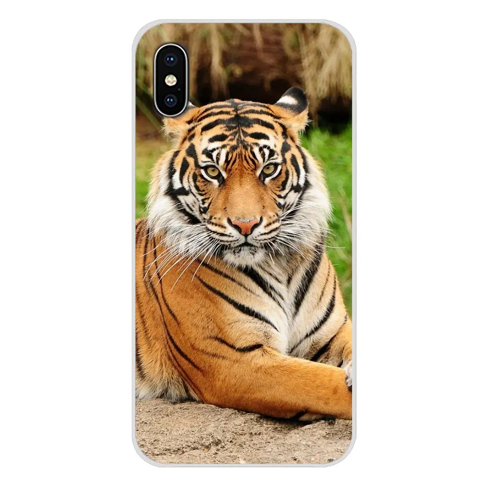 Милый силиконовый чехол для телефона Xiaomi Mi4 Mi5 Mi5S Mi6 Mi A1 A2 5X 6X 8 9 Lite SE Pro Max Mix 2 3 2S |