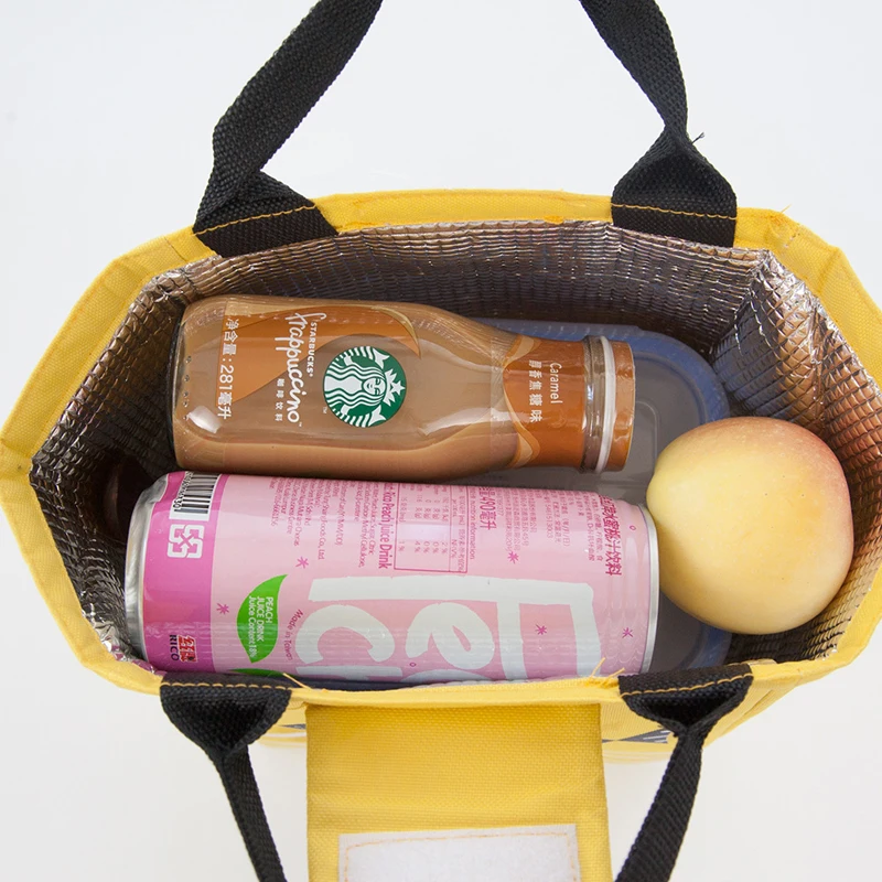 Двухсторонние стандартные сумки для обедов теплоизолированный Ланчбокс сумка