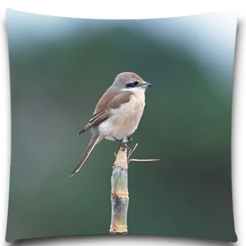 Милая птица на бревне 2D принт креативный наволочка квадратный хлопок полиэстер 5