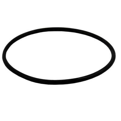 Уплотнительное кольцо для работы корпус с большим синим фильтром воды | Бытовая