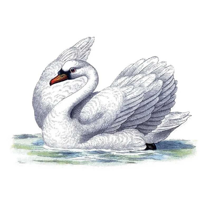 YJZT 12 9*10 1 см уникальный Декор Swans Автомобильная наклейка из ПВХ цветной