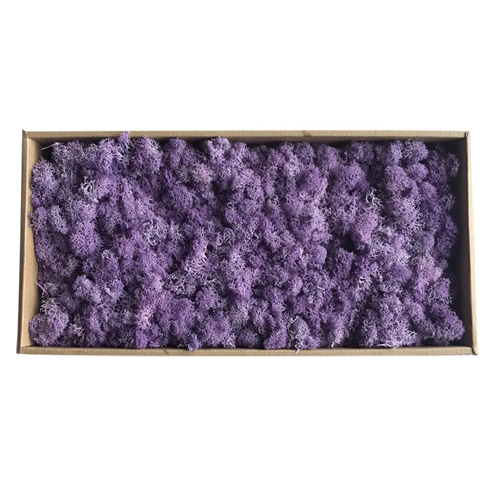 Purple 500 г/кор. цветы из мха, долго сохраняющиеся сушеные цветы для рукоделия, домашний декор для свадебной вечеринки, Лучшая цена - Цвет: Purple