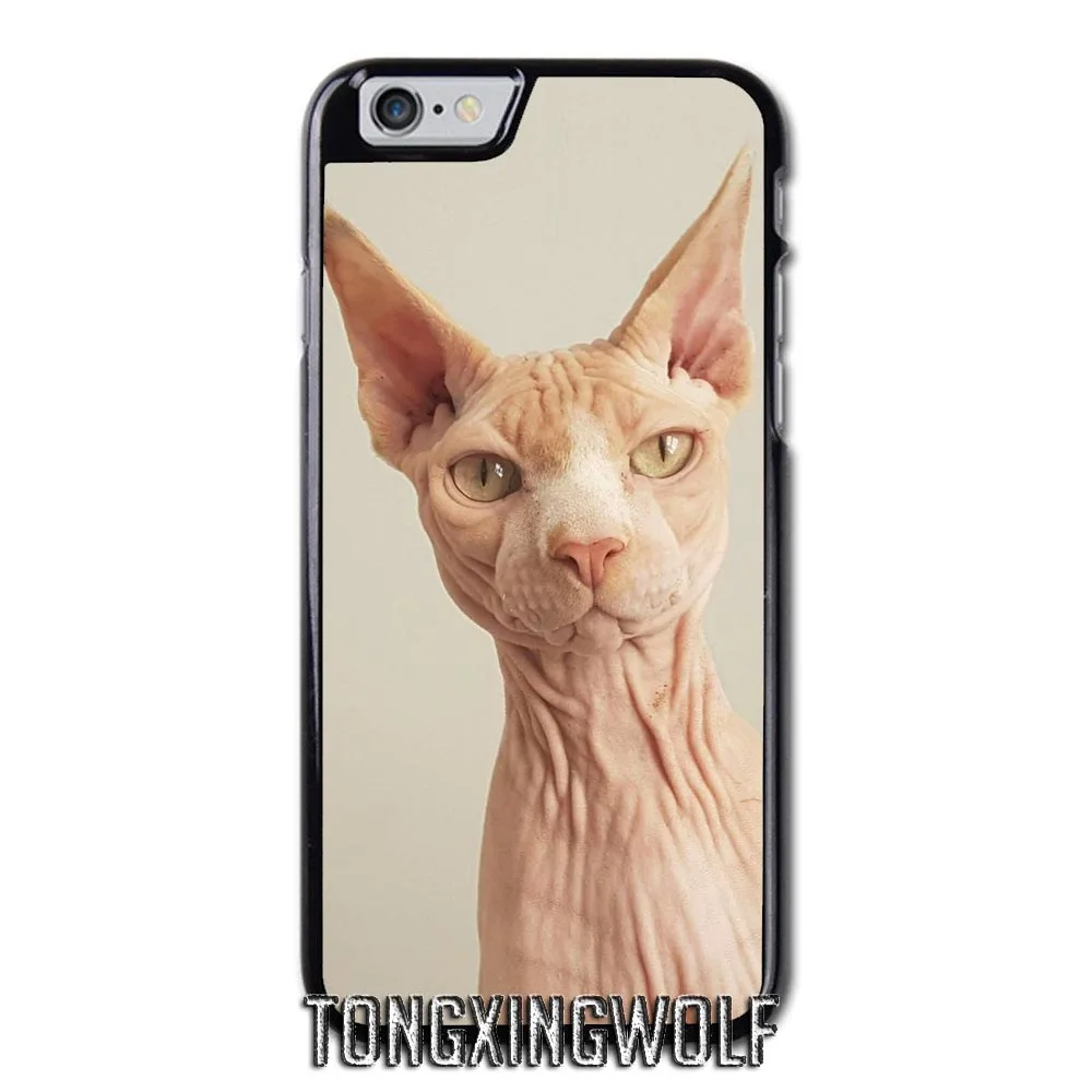 Sphynx cat Cover Case for Huawei P10 P20 P30 Mate 20 Lite Plus Nova 3i 4 Honor 9 10 Y3 Y5 Y6 Y7 Y9 Prime 2019 | Мобильные телефоны