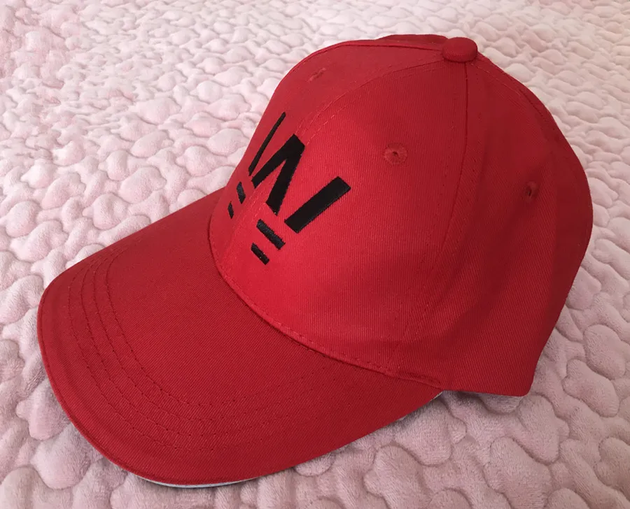 Капитан Цубаса Shutetsu начальной школы Wakabayashi Genzo Cosplay Snapback шляпа красная бейсболка