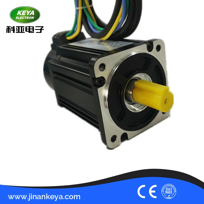Цена по прейскуранту завода 2500ppr 24V 100W 3000rpm бесщеточный dc серводвигатель с кодером