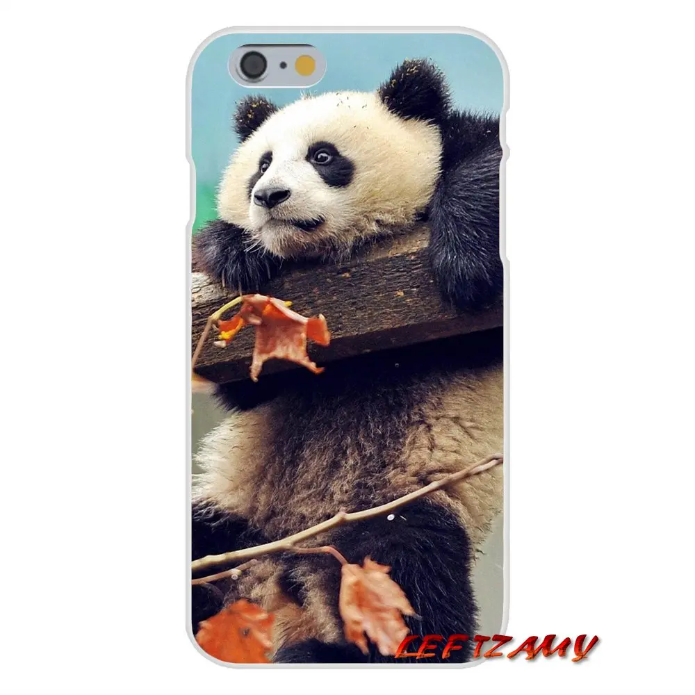 Милое азиатское детское прозрачное мягкое покрытие кожи панды для iPhone X XR XS MAX 4 4S 5