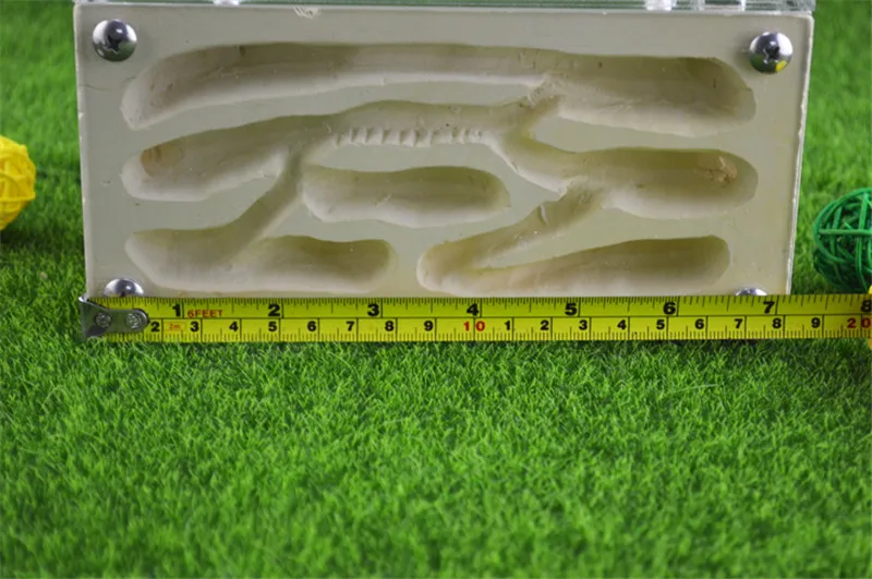 Formicarium разработан с муравьями в виду этого прочного гипса и акрилового гнезда