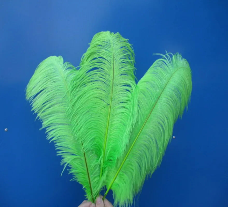 Оптовая продажа твердые стержни натуральные 50 шт./лот 16 18 дюймов 40 45 см зеленое