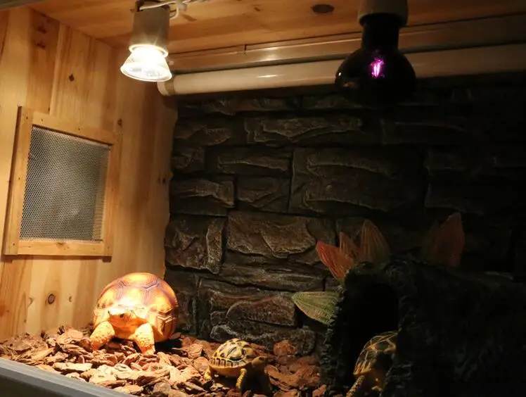 Нагревательные Лампы рептилия черепаха года лампа для обогрева ежа галогенная
