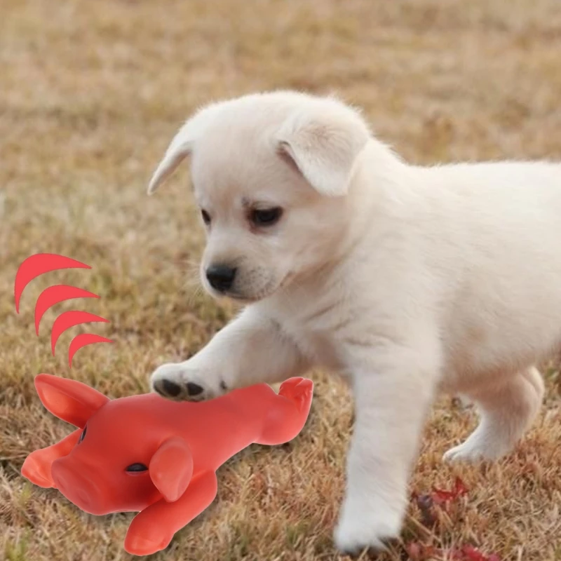OOTDTY Pet резиновая игрушка для собаки Жевательная свинья жевательная Кричащие