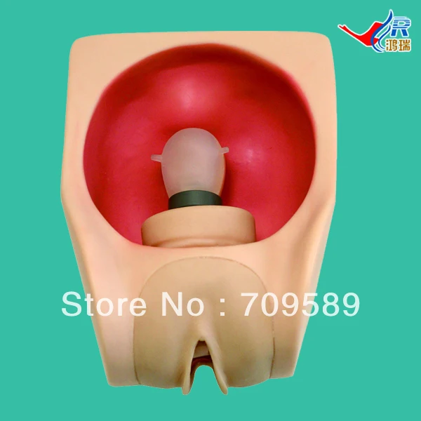 Обучающий симулятор по стандарту ISO IUD тренировочная модель внуатурального