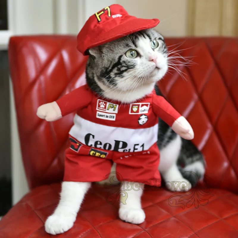 Маленькая одежда для кошек Забавный маскарадное собак Одежда Racer постоянного