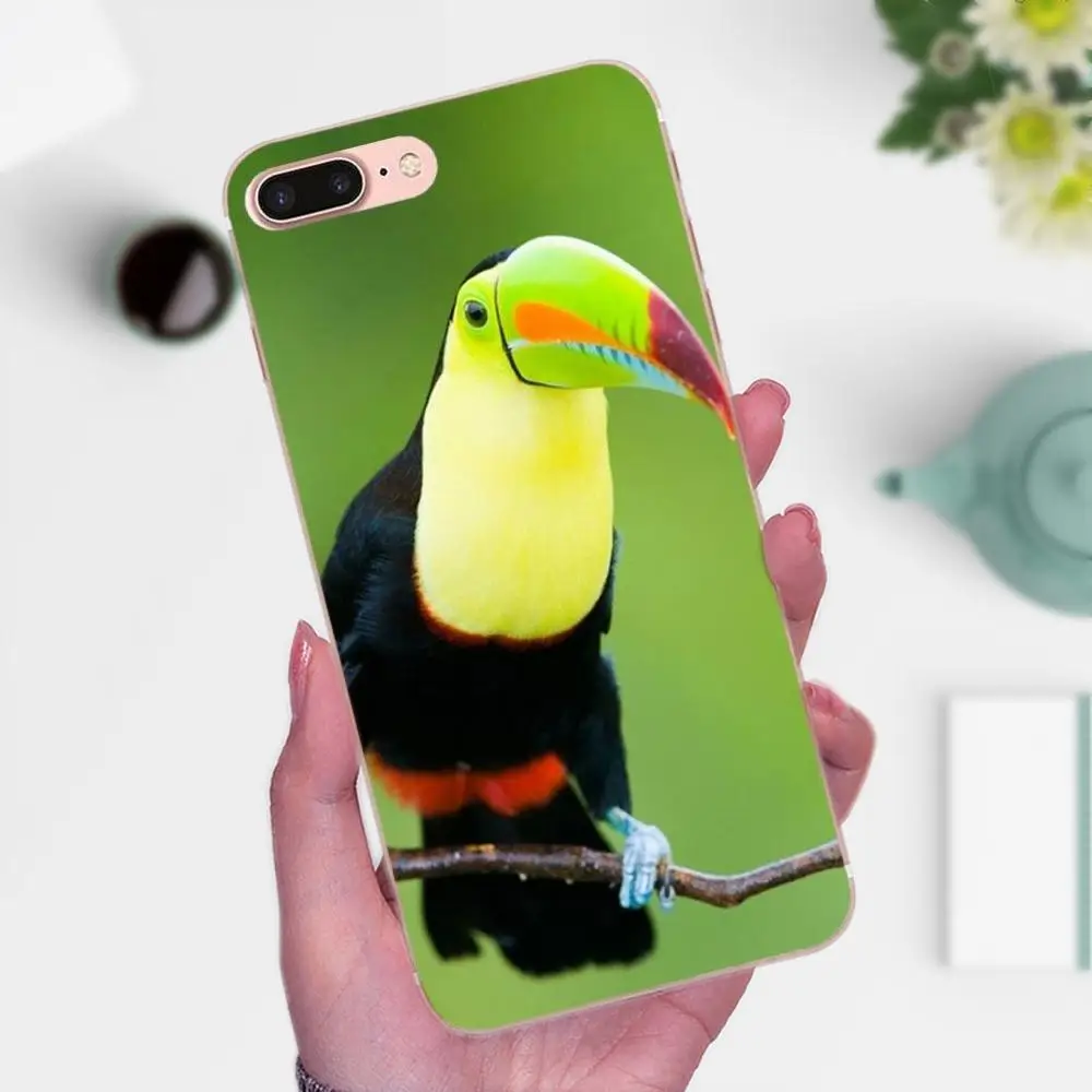 Тропический лес животное птица Toucan для Galaxy J1 J2 J3 J330 J4 J5 J6 J7 J730 J8 2015 2016 2017 2018 мини Pro TPU