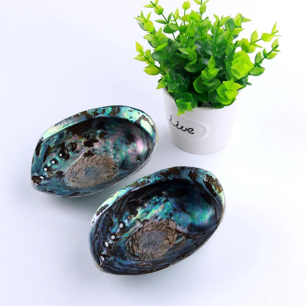 Yaye 1 шт. Aabalone ракушки для размазывания натурального морского ракушка украшение дома и очищение стартовый набор 15-16 см