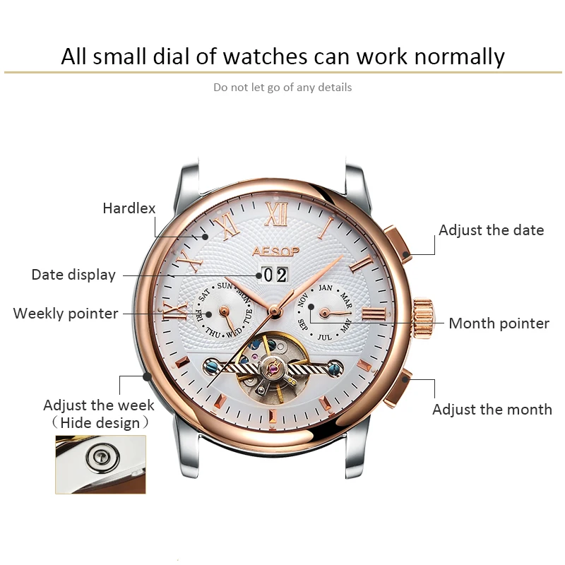 AESOP Mechanical Men Watch Fashion Automatic Wristwatch Rose Gold Hollow Stainless Steel Male Clock Relogio Masculino Box 27 | Наручные