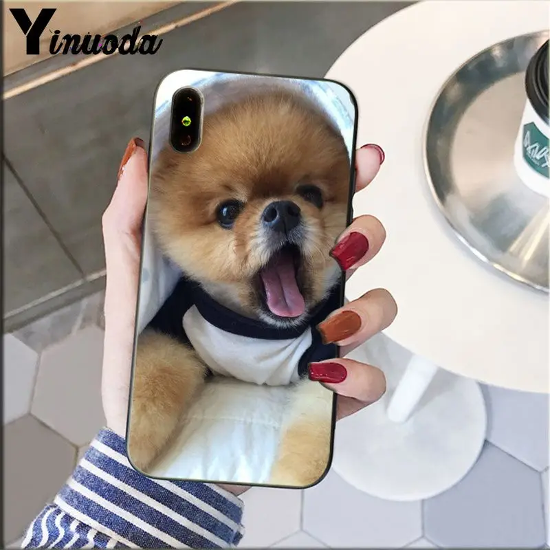

Yinuoda Pomeranian dogs dog Black TPU Soft Silicone Phone Cover for Apple iPhone 8 7 6 6S Plus X XS MAX 5 5S SE XR Mobile Cover