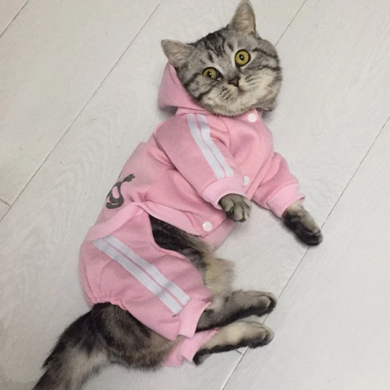 Модная одежда для кошек зимняя теплая уютная Одежда любимцы котята верхняя