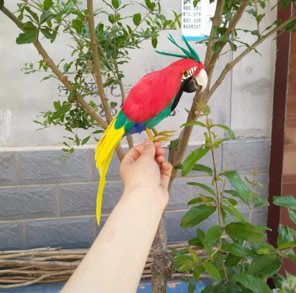 Красивые Птицы Модель попугая 30 см искусственная птица рукоделие реквизит