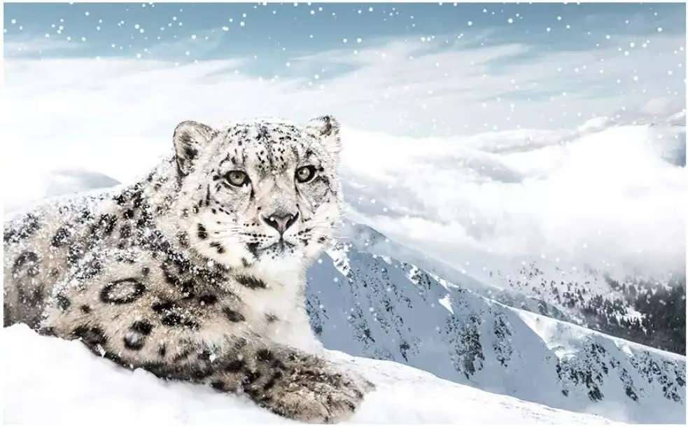 Настенные 3d обои на заказ с изображением снега леопарда животных пейзажа