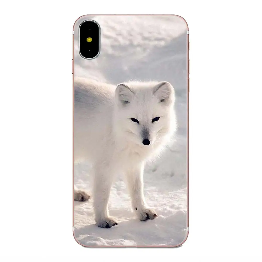 Милый Arctic fox для Apple iPhone X XS Max XR 4 4S 5 5C 5S SE 6 6S 7 8 Plus уникальный прозрачный чехол из