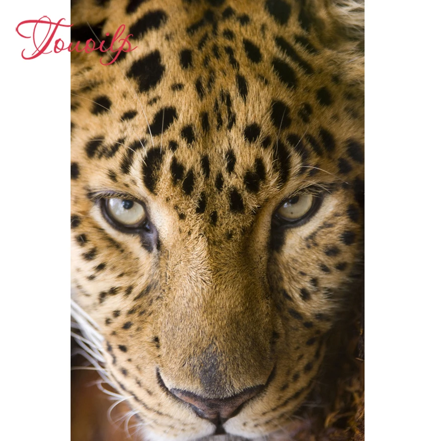 

Touoilp 3D Diamond embroidery Leopard 5d Diamond painting cross stitch 5D Square/Round diamond Mosaic Rhinestone Home Decor