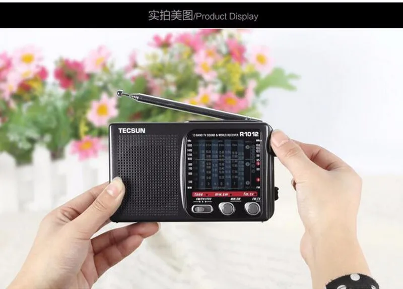 Горячая Высокое качество портативное радио TECSUN R-1012 FM/MW/SW/tv Радио многополосный мировой диапазон радиоприемник 76-108 МГц Y4378A