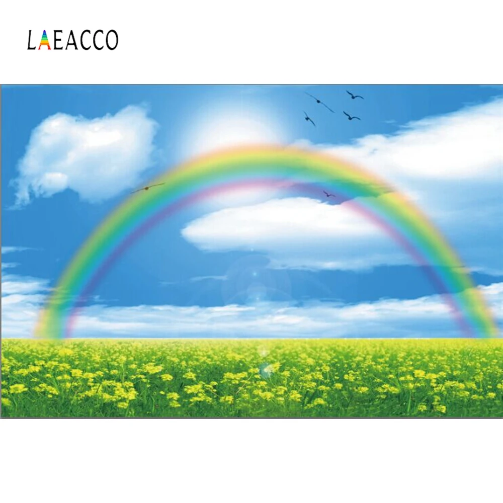 Laeacco природа живописный цветок море Радуга фон для детской портретной фотографии