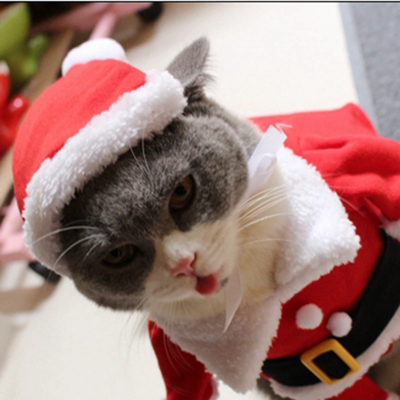 [MPK cat costumes] костюм кошки Санта Клауса! Милый Санта! Красный Санта-Клауса одежда для домашних животных, котов, пальто одежда в рождественском стиле костюм
