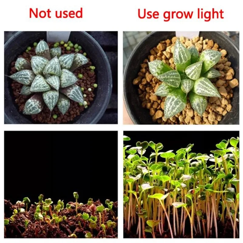 220v 30w 50w Светодиодная лампа Full Spectrum Led grow lights Тепличный тент Крытый парниковый коммерческих гидроэлектростанции Садоводство