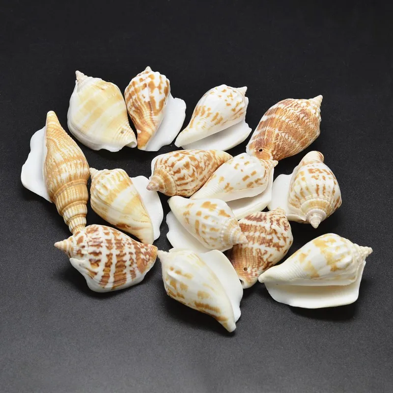 Conch Shell 2 500 г/лот комбинированные формы бусины из натуральных раковин ракушки для самостоятельного изготовления ювелирных изделий Аксессуары-фурнитура спиральная оболочка раковины кулон в форме ракушки - Цвет: Conch Shell 2