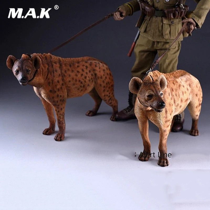 1:6 шкала AL100025 Crocuta собака с поводком игрушка для животных 12 дюймов фигурка сцены аксессуары коллекции