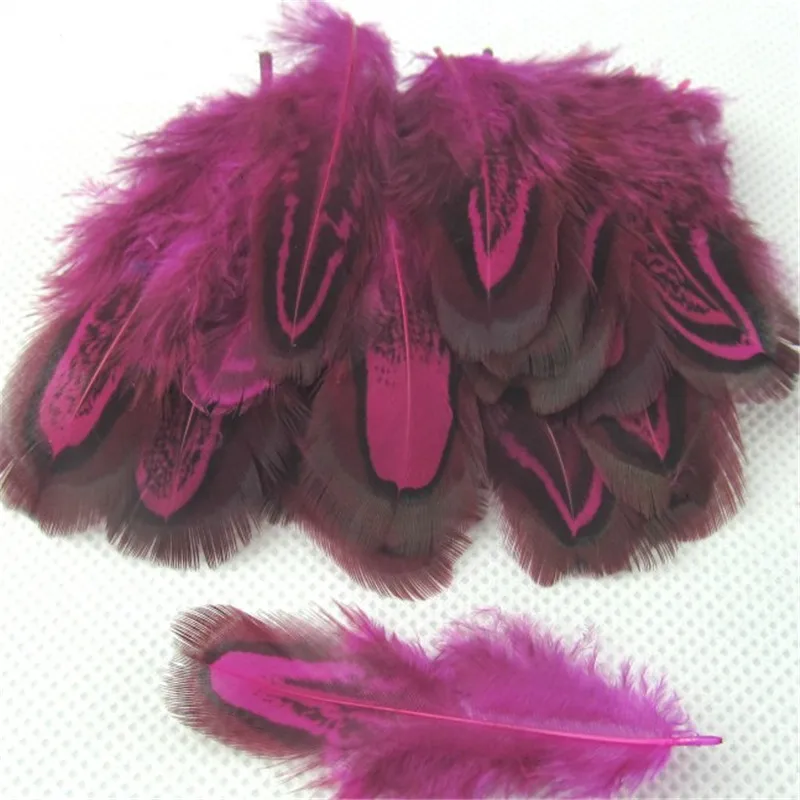 11 цветов 20 шт красивые фазаньи перья 5 8 см/2 3 дюйма|pheasant feather|feather featherfeathers pheasant |