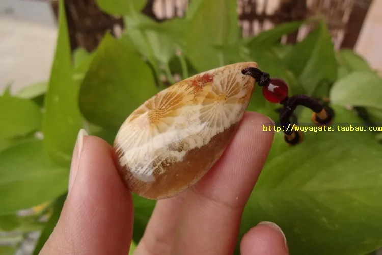 Тайвань природные органические gem коралловые ископаемых дейзи нефрита кулон /