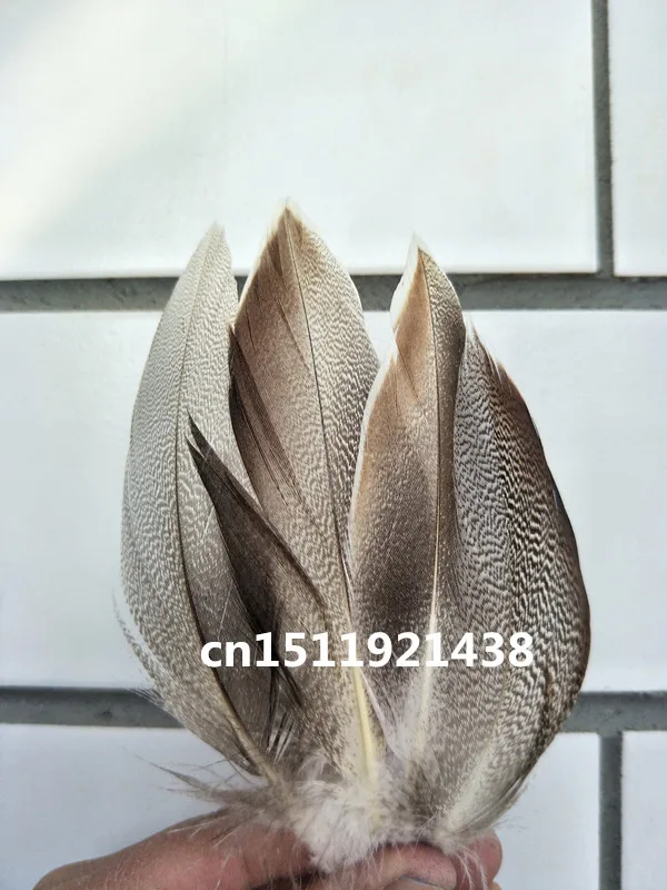 20 шт. декоративные перья фазана 5 10 см 2 4 дюйма|natural pheasant feathers|pheasant featherpheasant feather natural
