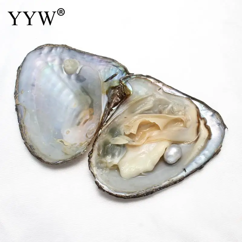 Пресноводная культивированная жемчужина Love Wish Oyster вакуумная упаковка риса 8 9 мм