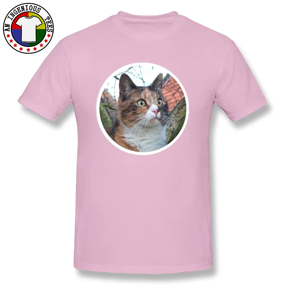 Новый дизайн с коротким рукавом Нормальная Футболка красивая Calico кошка 100% хлопок