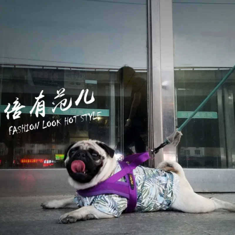 Очень прочный нейлон собачья цепь ремень поводок для домашних животных жгут