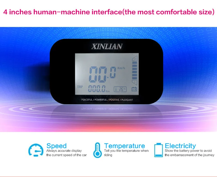 1000 Вт два колеса поручень баланс доска Электрический стоящий умный Баланс скутер
