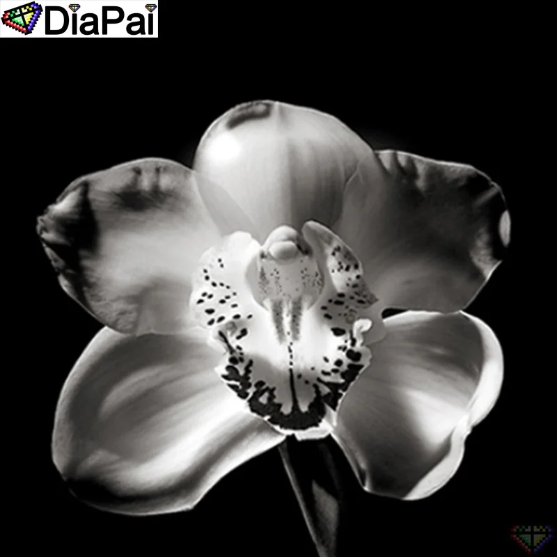 

DiaPai 100% Full Square/Round Drill 5D DIY Diamond Painting "Flower landscape" Diamond Embroidery Cross Stitch 3D Decor A20172