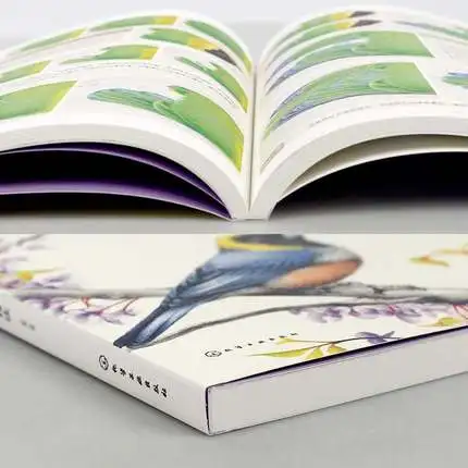 Китайский Цветной Карандаш для рисования птиц рисование животных